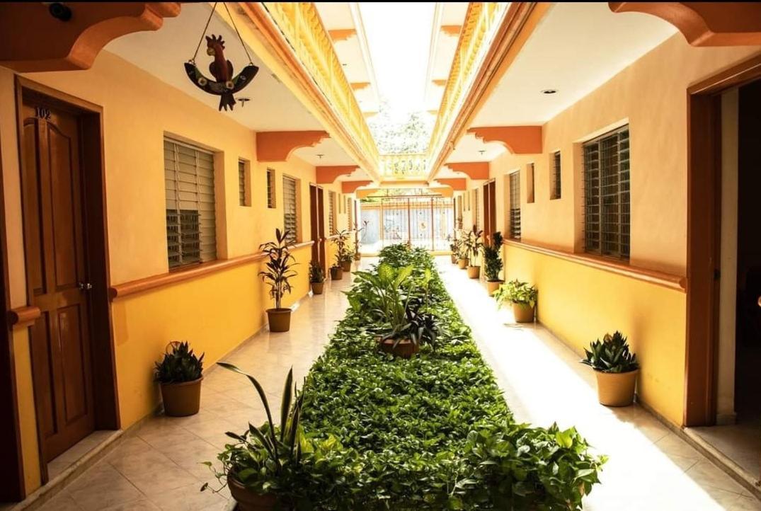 Isla Esmeralda Cozumel